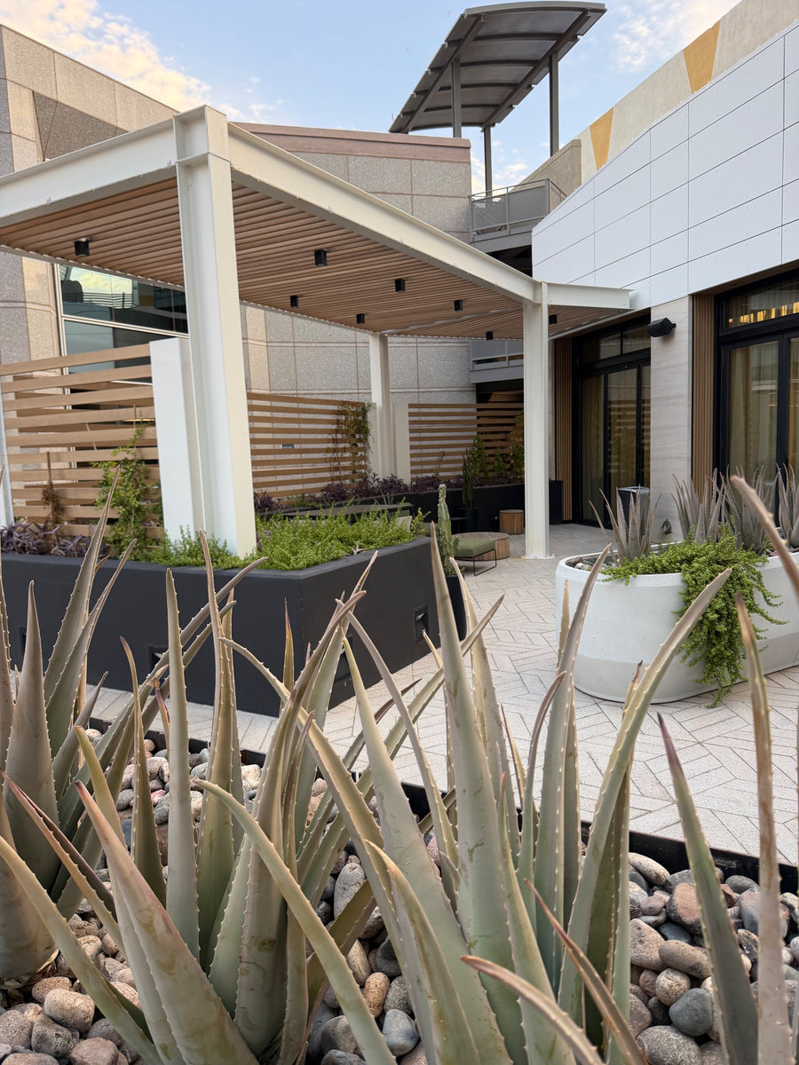Raw Bench outdoor living space